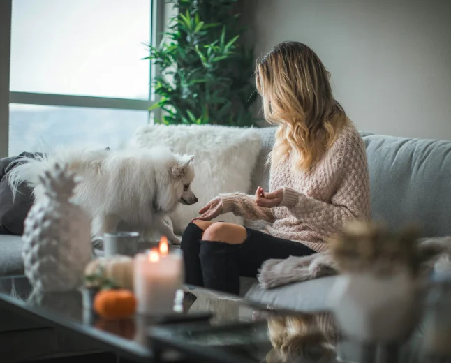 Decoration stuff holds the power to transform ordinary spaces
